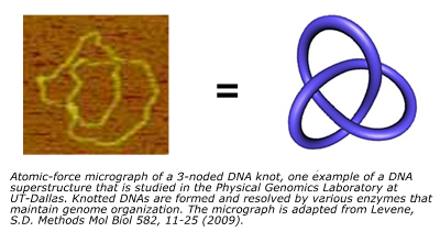 3-node dna knot on afm micrograph with MK vibration isolator