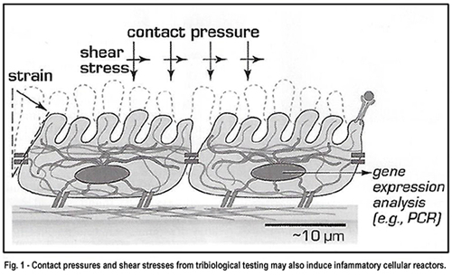 Laser Interferometer Vibration Isolation